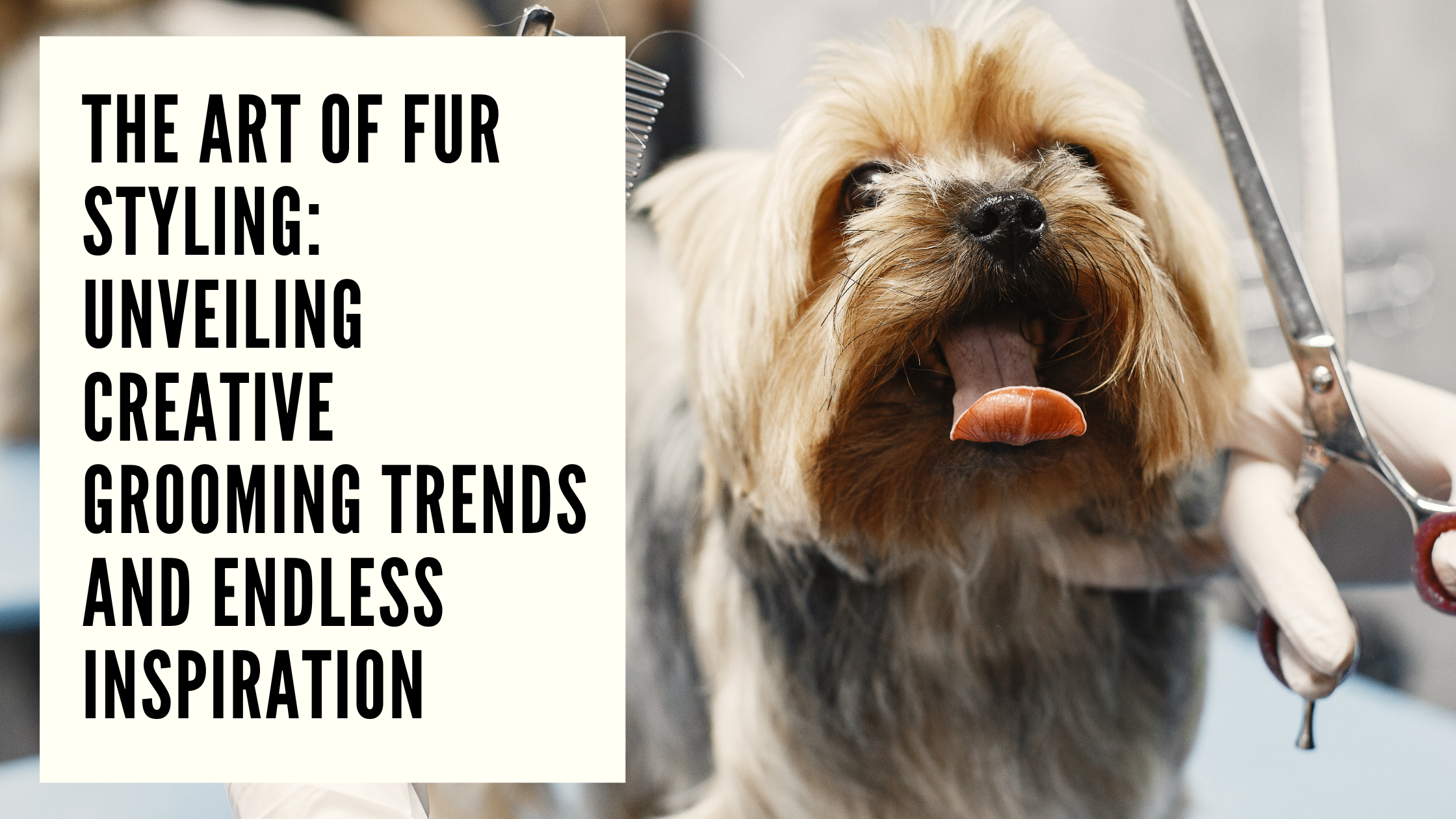 The Art of Fur Styling Unveiling Creative Grooming Trends and Endless Inspiration