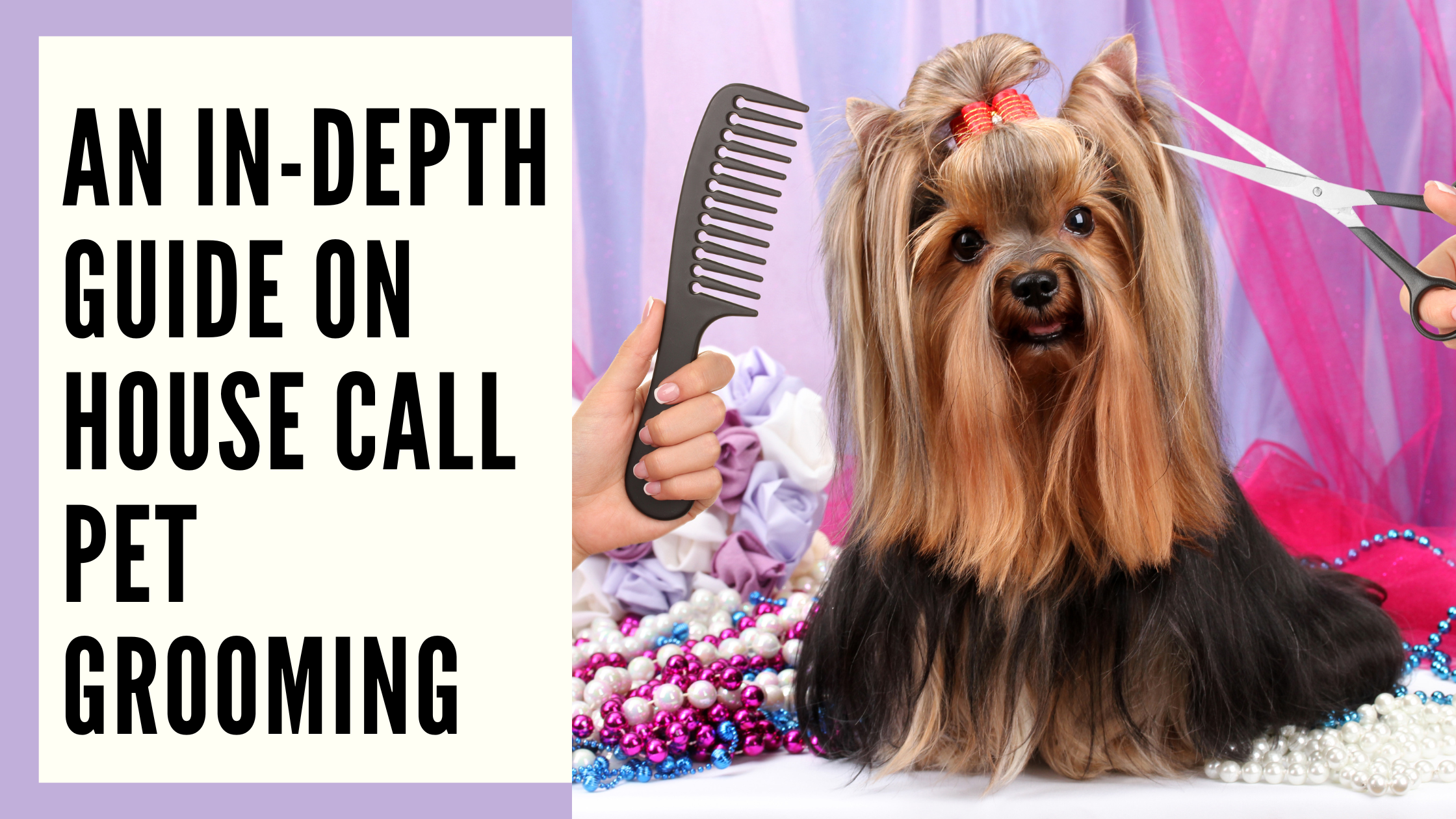 An In-Depth Guide on House Call Pet Grooming