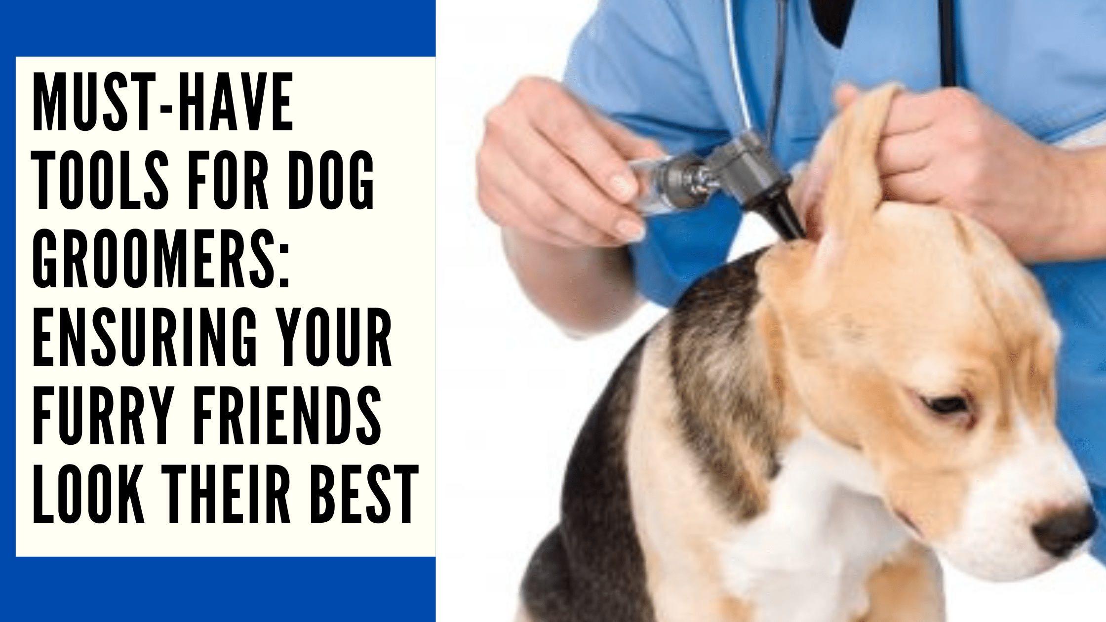 Must-Have Tools for Dog Groomers