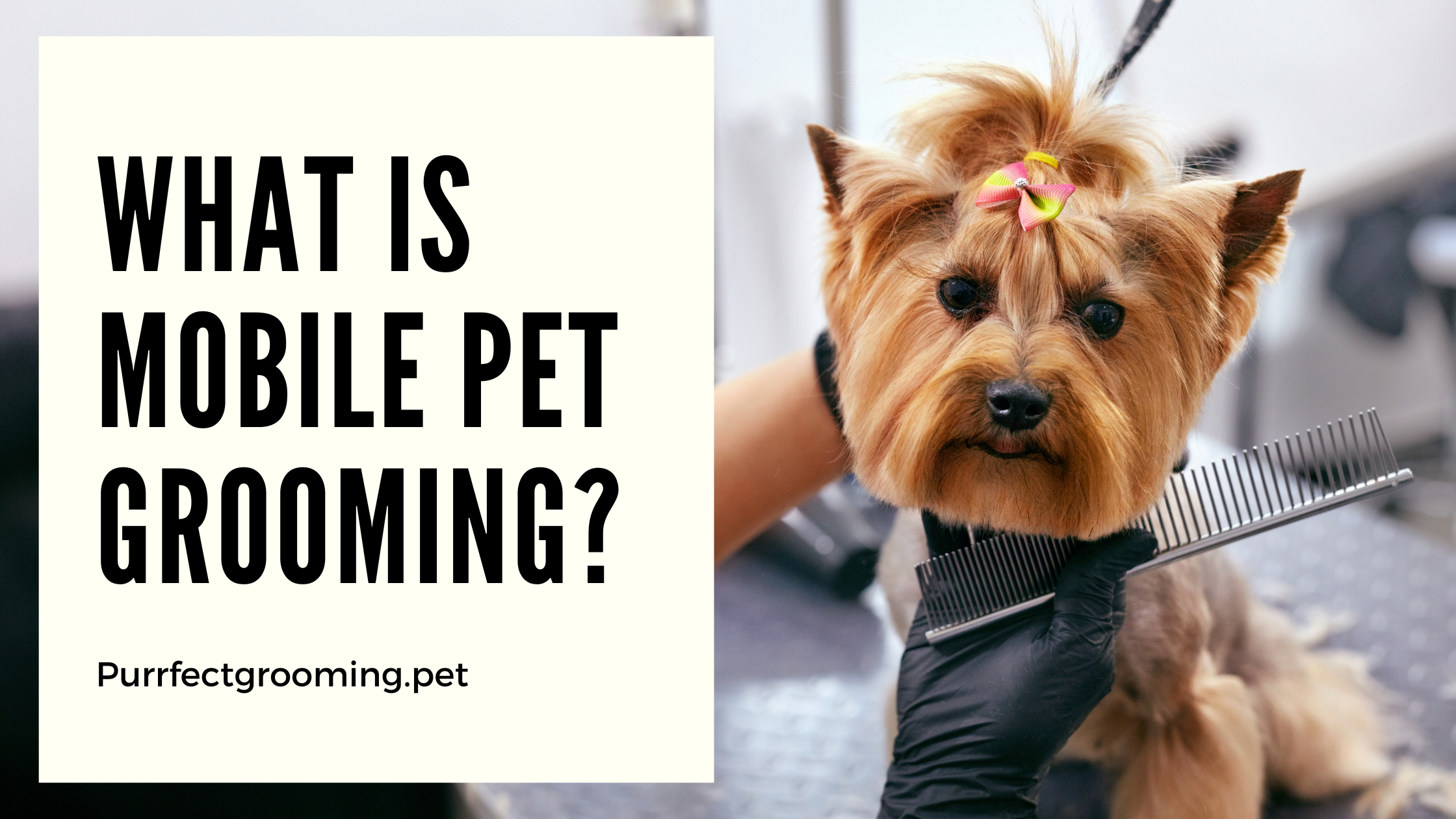 What is Mobile Pet Grooming