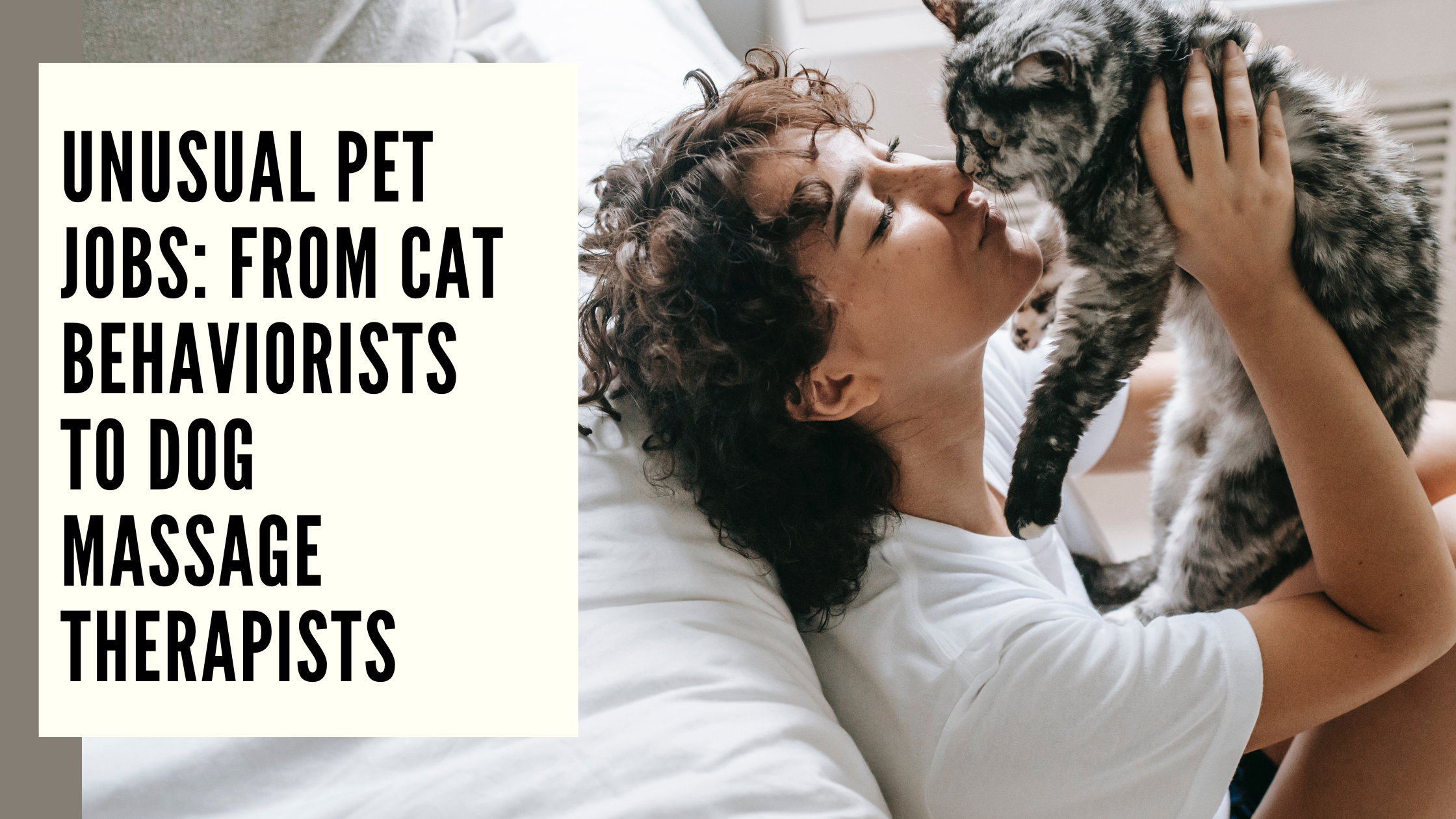 Unusual Pet Jobs From Cat Behaviorists to Dog Massage Therapists
