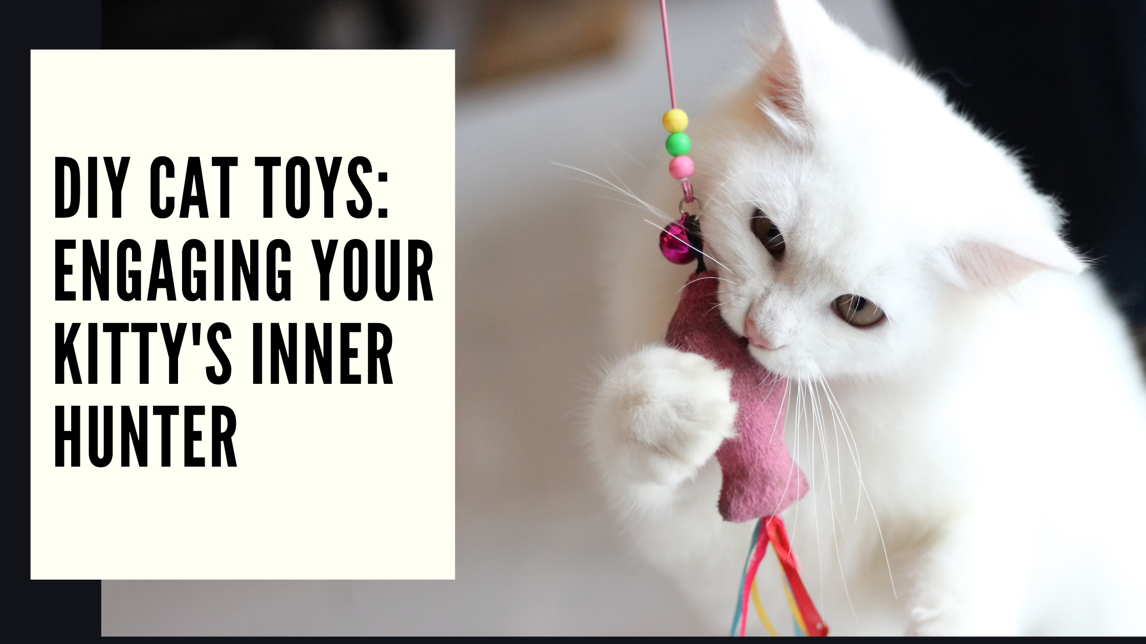 DIY Cat Toys Engaging Your Kitty's Inner Hunter