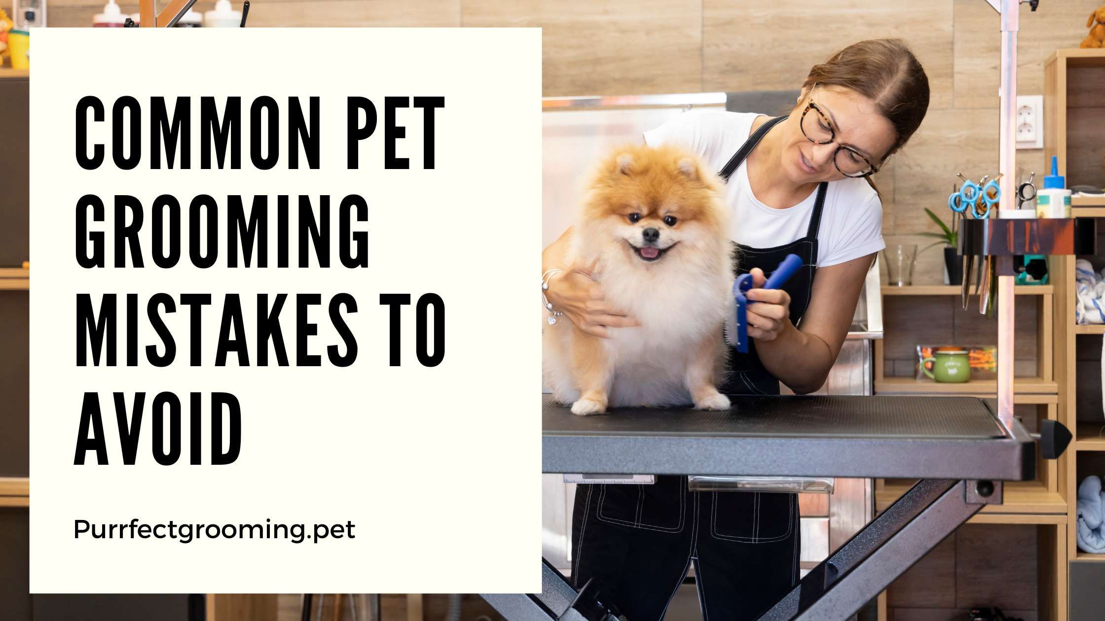 Common Pet Grooming Mistakes to Avoid