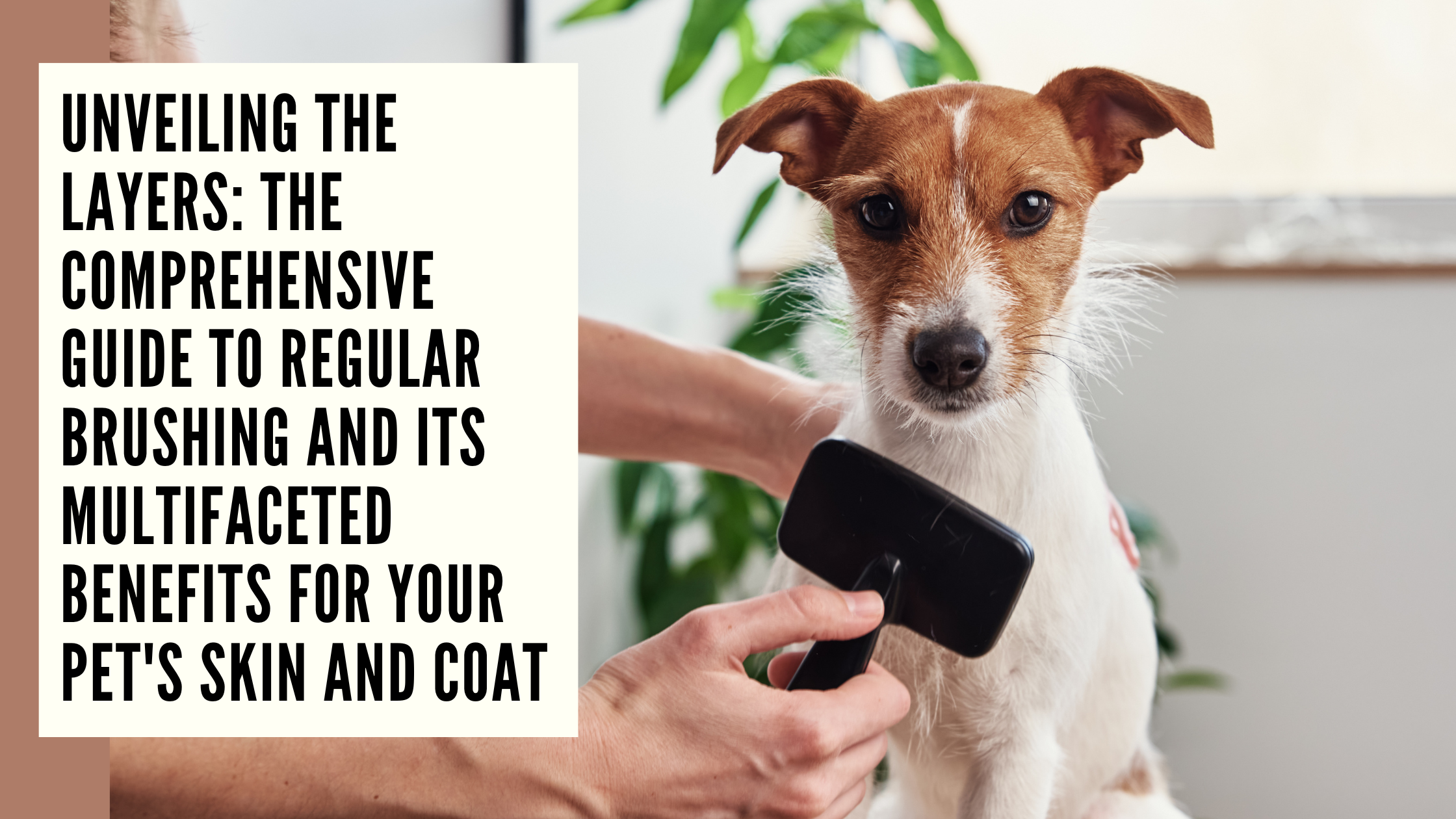 Unveiling the Layers The Comprehensive Guide to Regular Brushing and Its Multifaceted Benefits for Your Pet's Skin and Coat