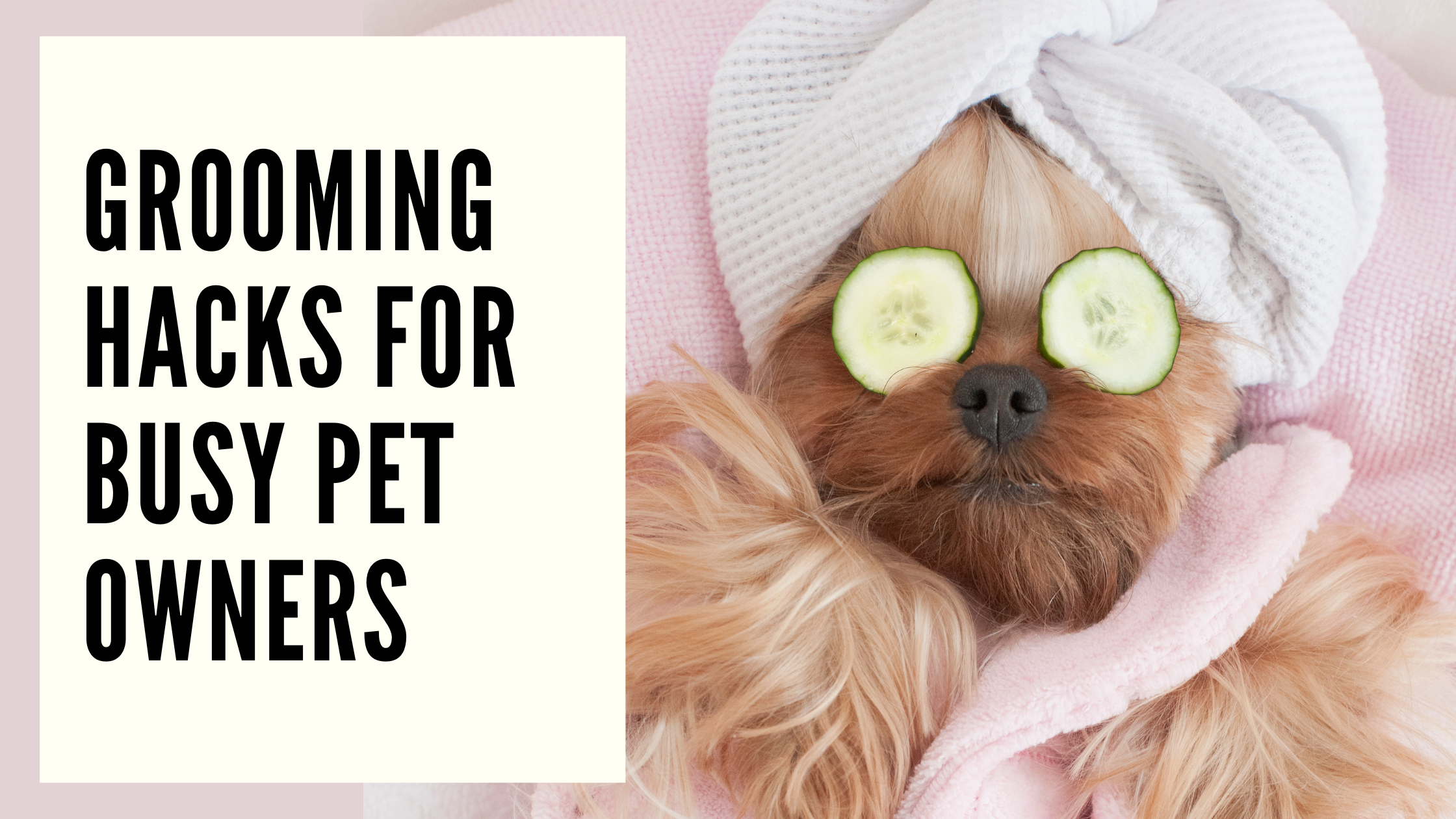 Grooming Hacks for Busy Pet Owners