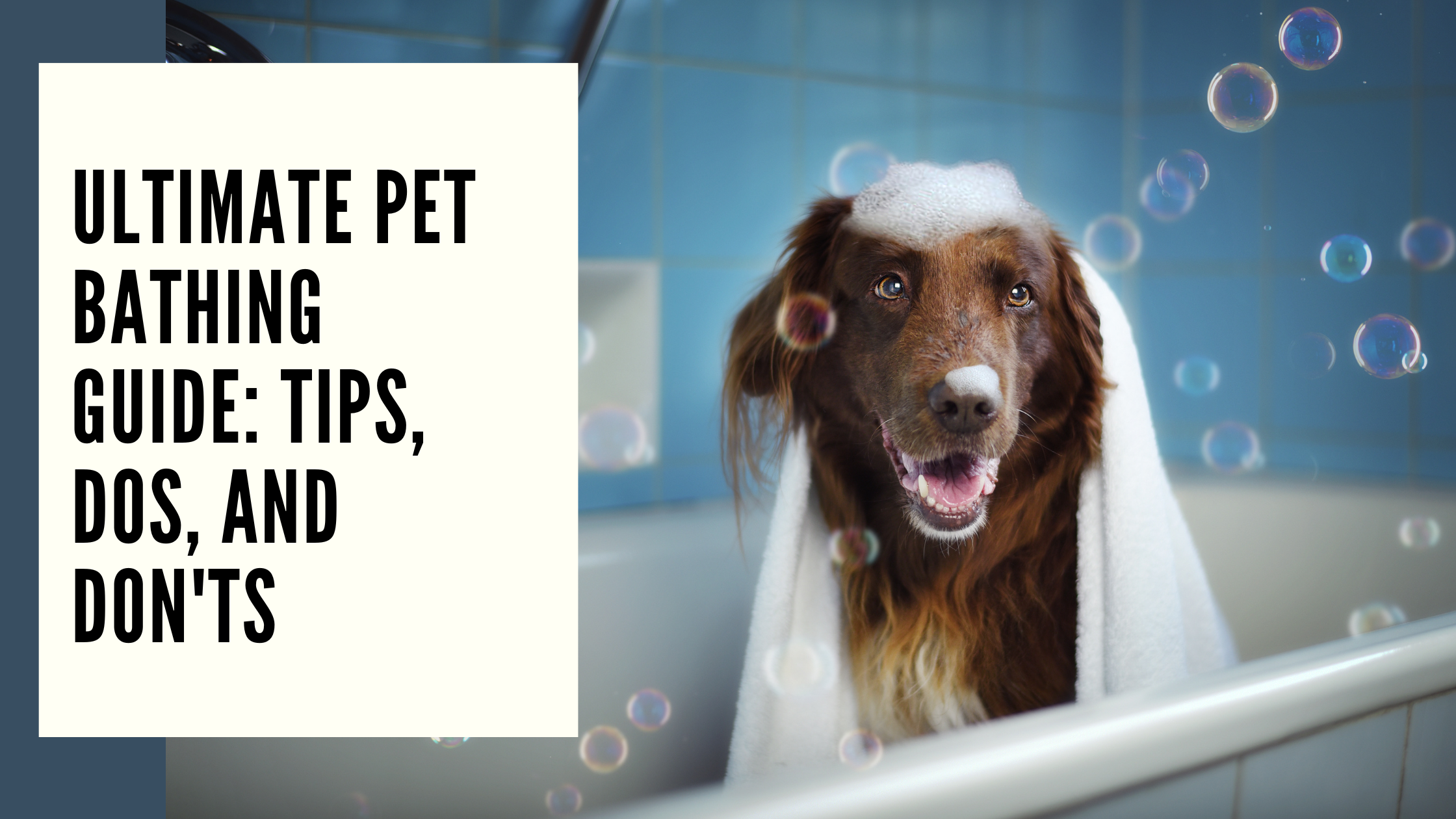 Ultimate Pet Bathing Guide Tips, Dos, and Don'ts