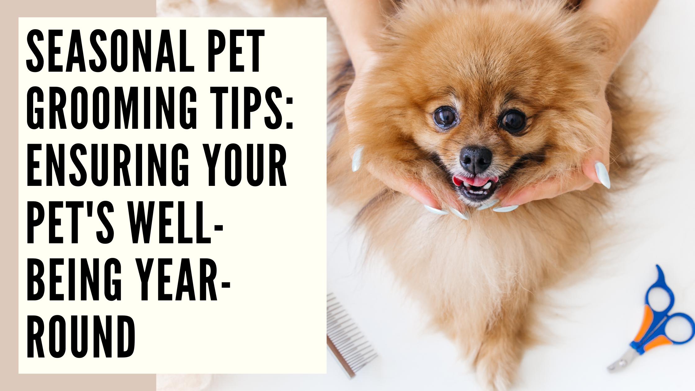 Seasonal Pet Grooming Tips