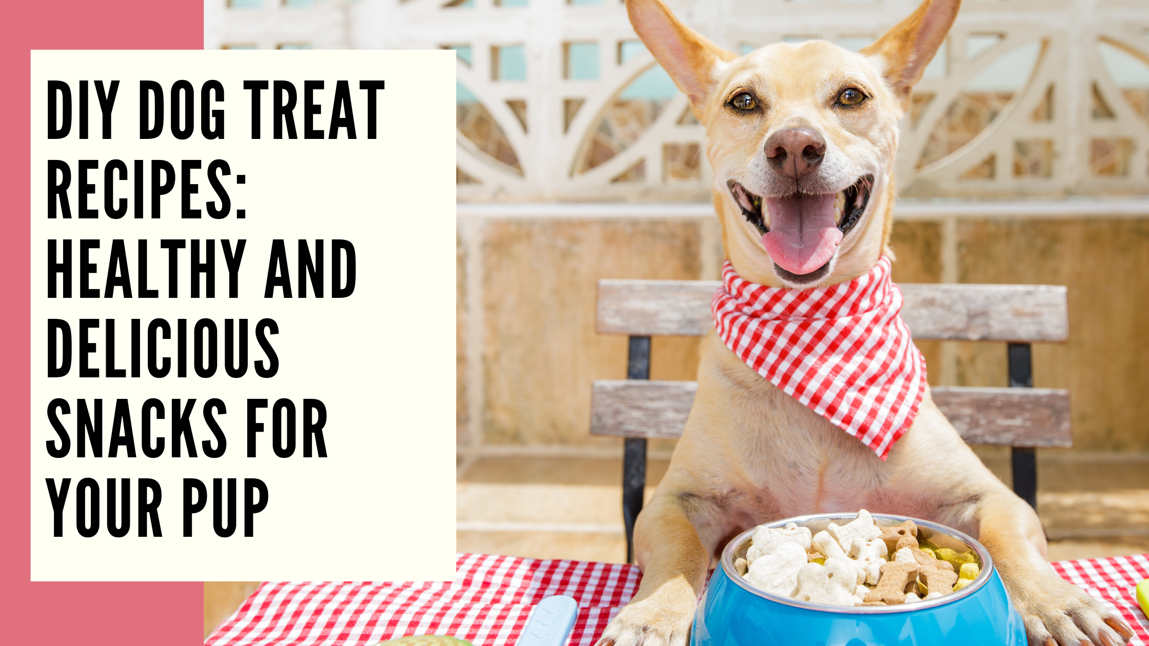 DIY Dog Treat Recipes Healthy and Delicious Snacks for Your Pup