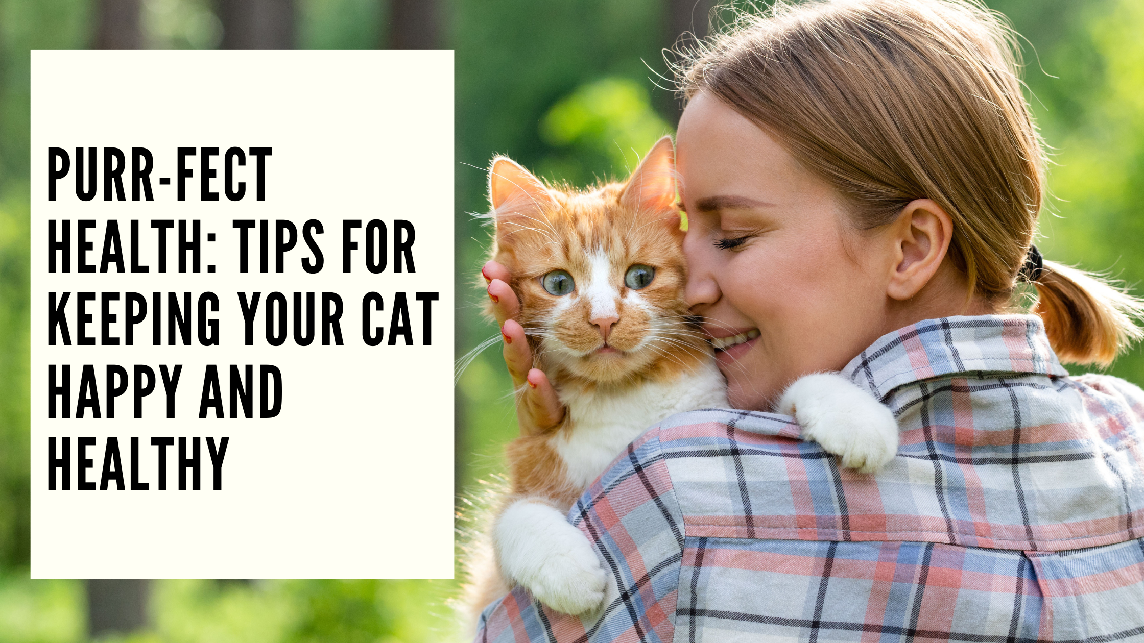 Purr-fect Health Tips for Keeping Your Cat Happy and Healthy