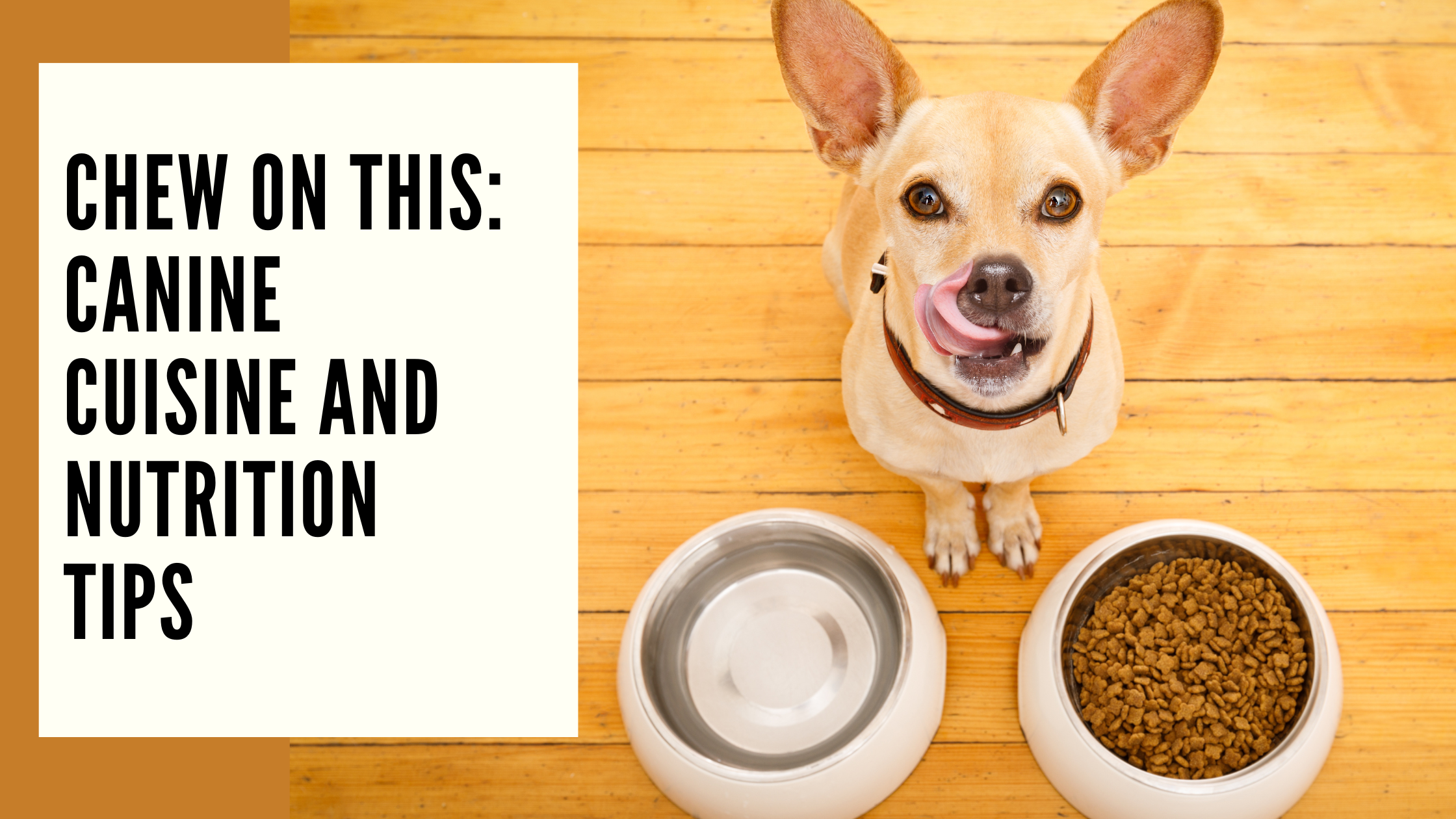 Chew on This Canine Cuisine and Nutrition Tips