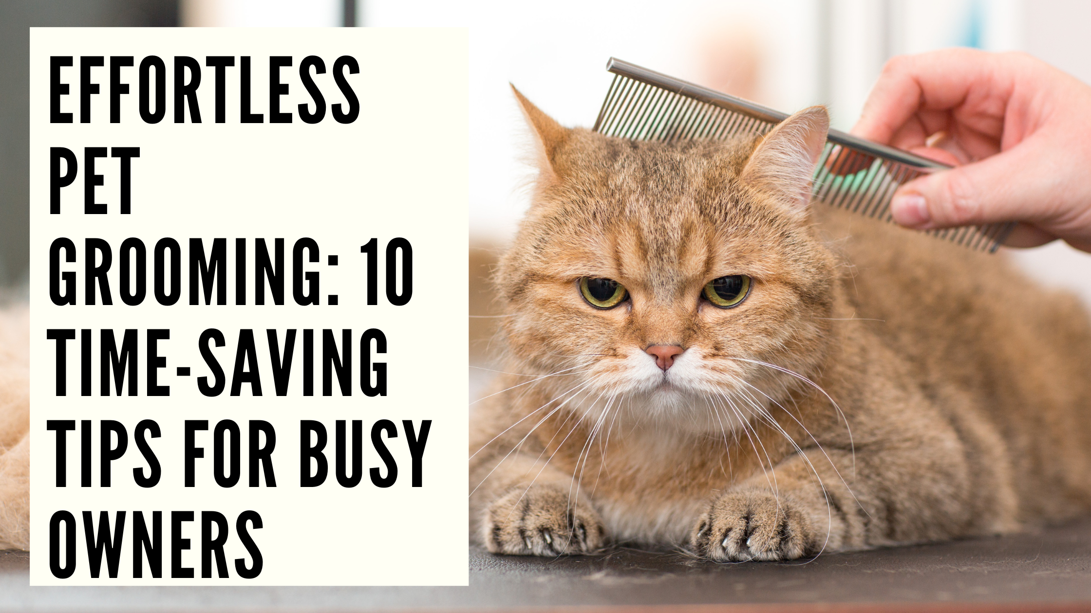 Effortless Pet Grooming 10 Time-Saving Tips for Busy Owners