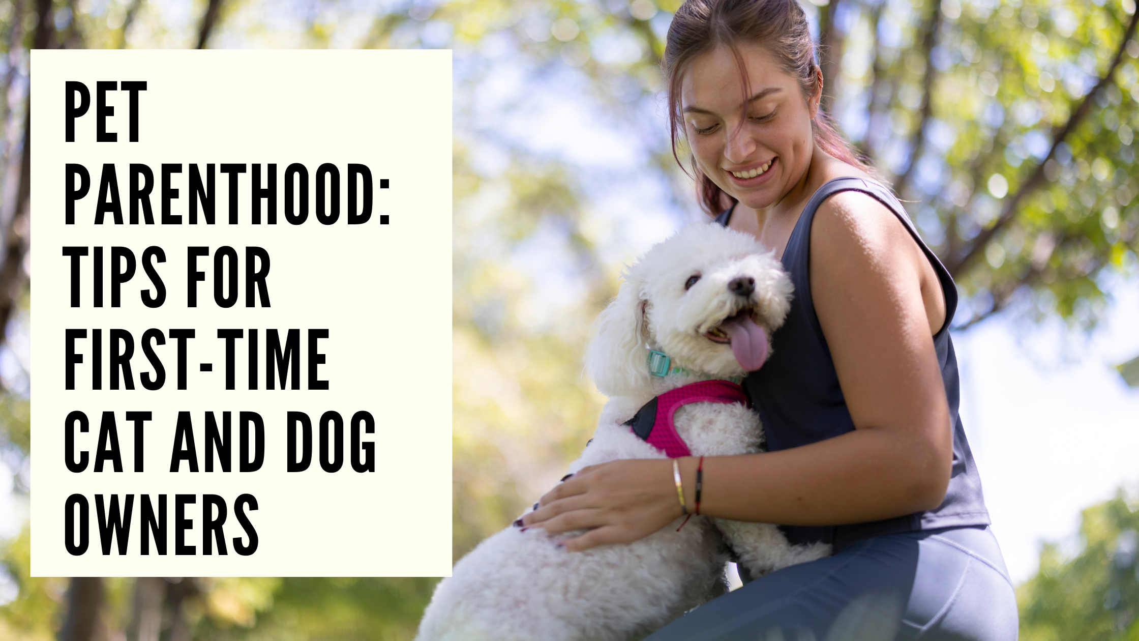 Pet Parenthood Tips for First-Time Cat and Dog Owners