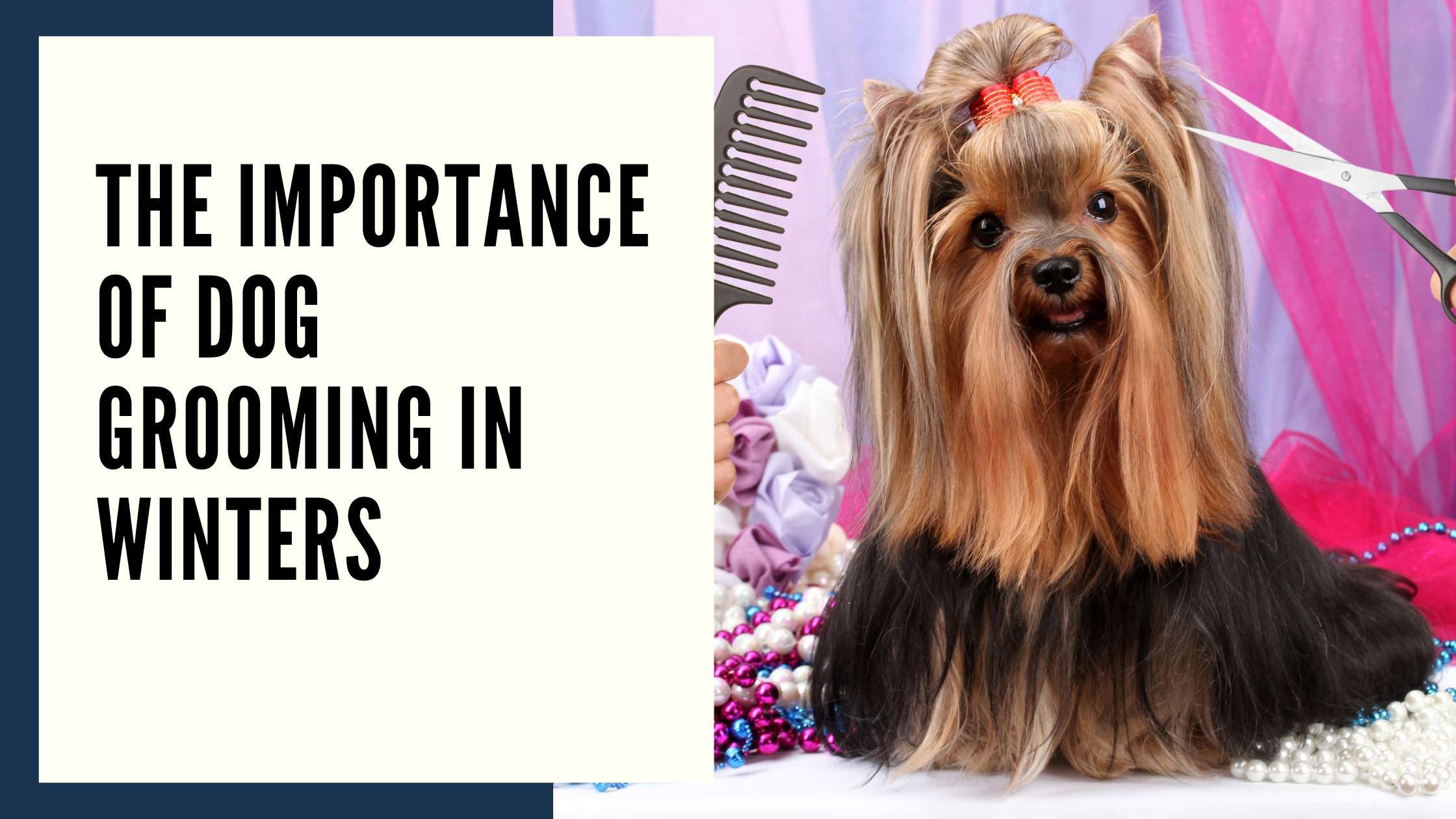 The Importance of Dog Grooming in Winters (1)