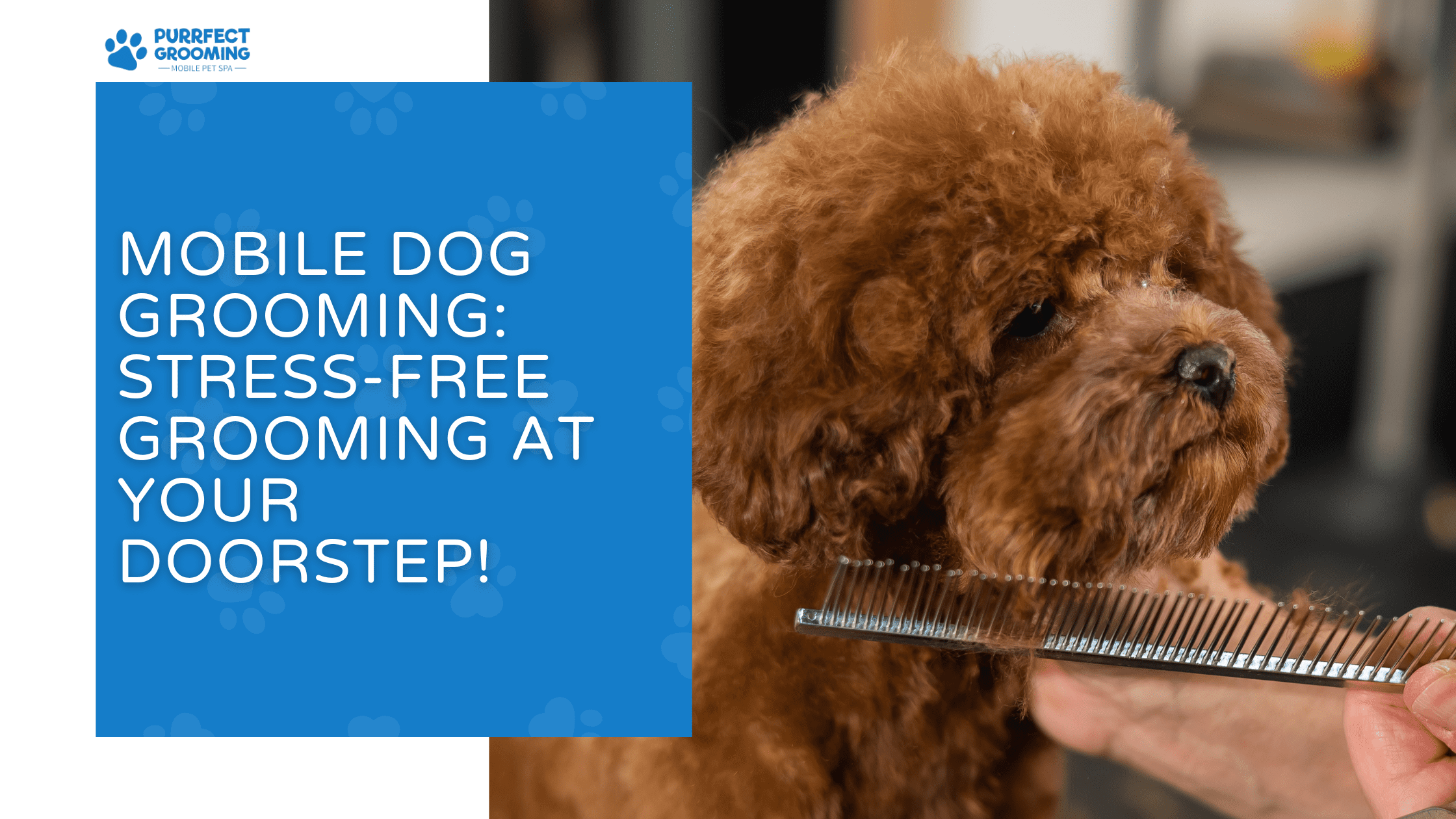 Discount groomer at your door Clearance