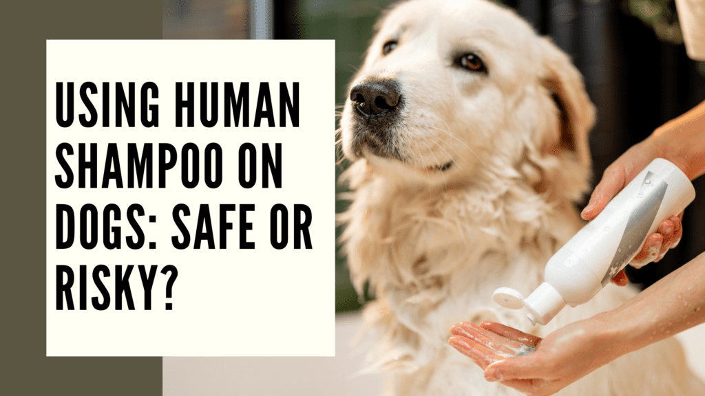 Is human shampoo safe for dogs fashion