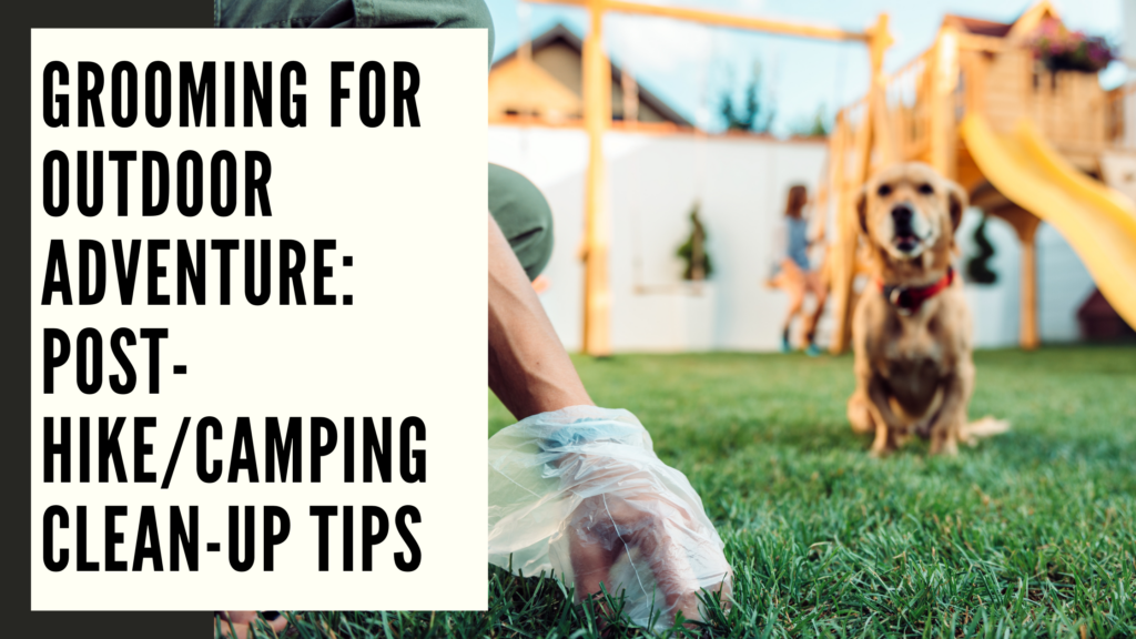 Mastering the Wild Ultimate Outdoor Grooming Guide for Adventurers