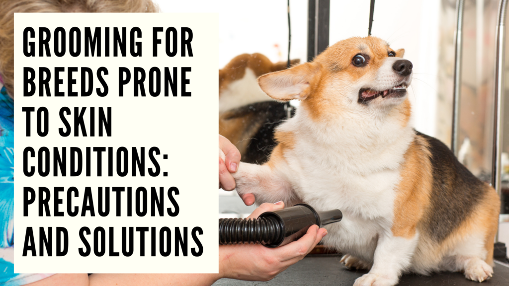 Skin Solutions: Expert Grooming Tips for Breeds Prone to Skin Conditions