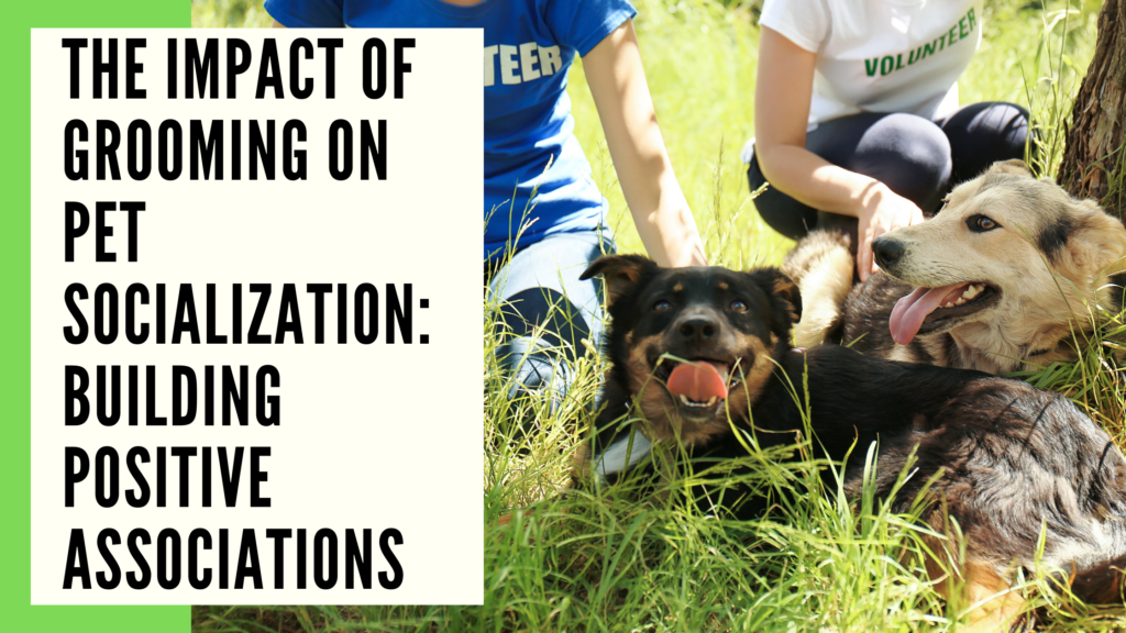 View of Pawsitively Groomed: Nurturing Social Bonds Through Pet Care