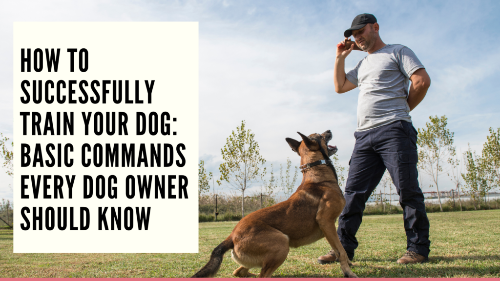 Mastering Dog Training with Basic Commands for a Happy Furry Friend