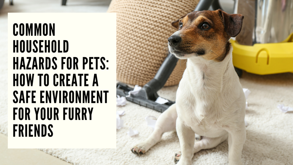 Protect Your Furry Friends: Safeguarding Against Common Household Hazards