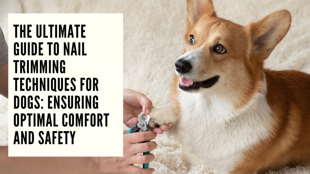 Nail Trimming Techniques for Dogs Mastering the Art for Optimal Comfort