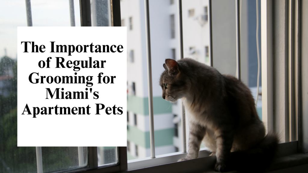 Image showcasing Pet care reaches new level of luxury as Bentley Residences vows to ...