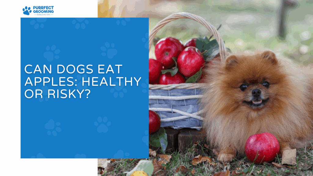 A closer look at Dogs That Eat Apples For Healthy Teeth