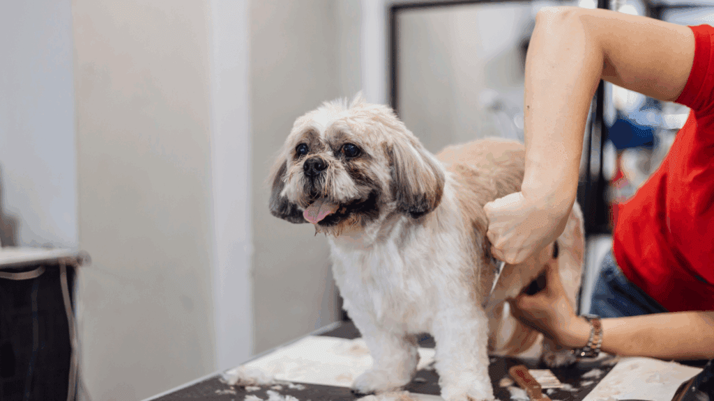 mobile dog grooming weston fl