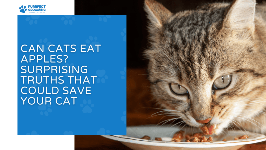 Can Cats Eat Apples? Surprising Truths That Could Save Your Cat